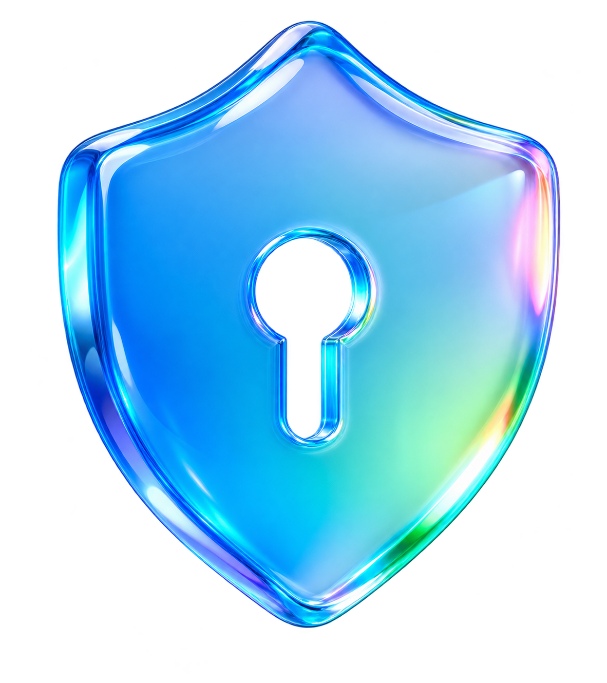 VPN Logo